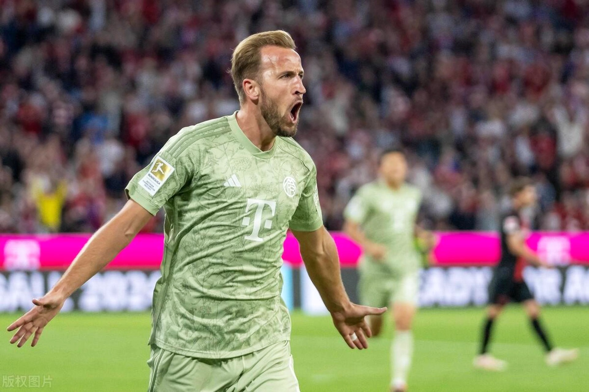 爱游戏体育-关于凯恩赛事官方发布连败新规，塞尔维亚队争议不断！的信息